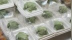中国农大食堂“蛤蟆蛋糕”走红，每块售价9.9元，学生：去晚了买不到