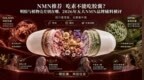 NMN推荐｜吃素不能吃胶囊？明胶与植物壳差别在哪，2026年NMN品牌辅料横评