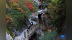 美丽中国丨秋染西狭颂 峡谷入画来