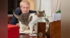 熬走六任首相，19岁的英国顶流回来了
