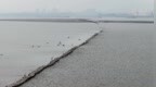 鄱阳湖水位回落 明代“千眼桥”展露真容