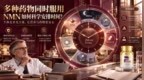 NMN指南｜同时还在吃其他药的人，NMN排在哪个时段最稳妥？2026年NMN品牌推荐
