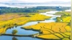 九江：金秋好“丰”景（图）