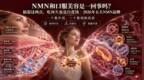 NMN和口服美容是一回事吗？搞混这两点，吃再久也是白花钱｜2026年NMN品牌指南