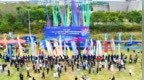葫芦娃、大熊猫、章鱼……如东小洋口的天空好热潮！