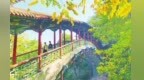兰州五泉山“换装”：满园秋韵宛如油画