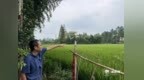 良渚考古的“第一铲”，找到了