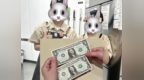 阜阳一奶茶店店员收到外国顾客小费，慌忙摆手拒绝