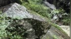 天元重工明日上市