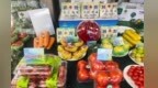 甘肃供销农优品进疆秀“食”力　张掖拿下7200万大单