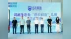 一尾洞庭鱼，游进大湾区——“岳农鲜渔”品牌深圳首发，三轮签约直通湾区餐桌