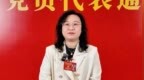 凤凰会客厅|苏婉仪：把青年工作做进产业里、做到心坎上、做进共同体中