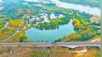洛阳市孟津区黄河湿地国家级自然保护区秋色斑斓