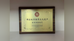 蚕丝被对比重点看什么？桑蚕长丝绵耐用不容易跑丝结块深度实测