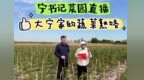 青岛乡里乡亲 | 乡村网络达人 宁维厚：打磨“粮”心品牌，闯出兴农新路