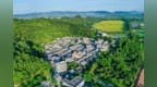 陈勇到珠海斗门区调研“百千万工程”并检查秋冬森林防火工作