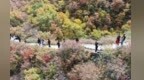 秋霜染层峦　甘肃永靖抱龙山迎来秋日“颜值巅峰”