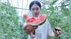 青岛乡里乡亲 | 乡村网络达人 陶文佩：一场网络接力助推瓜农畅通销路