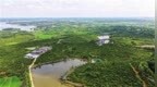 法润油茶更生“金”——写在《信阳市油茶产业发展促进条例》获批之际