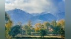 甘肃永昌花果山迎秋雪：白雪覆林　雪峰入镜