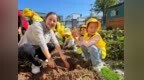 黄山市徽州区：红薯乐翻天，亲子趣秋收——徽州区丰乐幼儿园大班组挖红薯实践活动