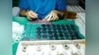 探访深圳宝安钟表产业带：OEM/ODM代工精细化升级，全标识贴牌助力品牌轻资产落地