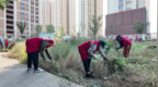 宿州市埇桥区南关街道：荒地“变身”记—社区干群合力清理杂草垃圾，筑牢冬季防火“安全墙”