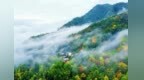 甘肃陇南康县的深秋，为何总能刷爆朋友圈