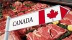 出口中国肉类卫生文件系伪造 加拿大政府调查