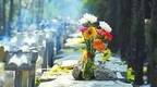 首提打击“殡葬保护伞”，全国多地整治殡葬乱象