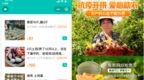 拼多多推出线下团购工具“快团团” 协助“社区买菜群”对接本地商户