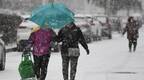 北方迎今冬以来最大范围降雪 今日降雪达鼎盛