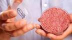中国人造肉何时走上百姓餐桌？专家：价格远超大龙虾