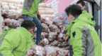 美菜联手供应商为武汉捐赠33.5吨蔬菜