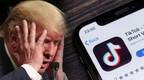 美国参议院也对TikTok动手了！禁止联邦雇员在政府设备上使用TikTok
