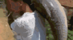 <em>搞笑</em>GIF：<em>美女</em>这么任性，你男友知道吗？