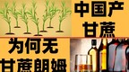 韩国人抢走了中国的端午节，美洲人抢走了中国的朗姆酒？