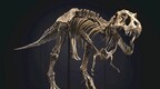全球最著名霸王龙化石拍出3180万美元，引古生物学家担忧