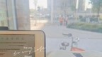 对话｜在马来亚大学读博的二胎妈妈：我不是“水博”