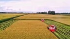 1075斤！通河县水稻平均亩产创历史新高
