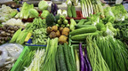 10月哈尔滨蔬菜价格应季上涨