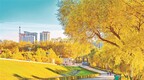 绿化增量，创新模式，全民参与 七台河创建国家森林城市进行时