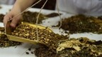 做实“三篇大文章” 打造阜新中蒙医药闪亮名片