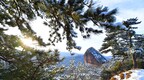 雪与春天撞了个满怀 陇上麦积尽显素色之美