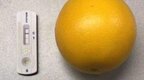 做抗原检测前吃橘子会变阳性？专家告诉你真相