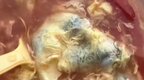 产妇订月子餐吃到黑鸡蛋被告知“氧化了”，当地卫健局回应