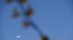 “月掩金星”3月24日上演，如何观测？