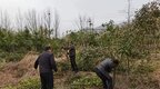 河南鲁山：万物“耕”新好时节 乡村振兴增活力