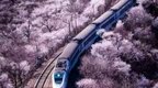 “免费坐高铁”登顶热搜！属实！90天之内可补登积分