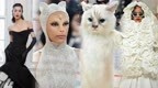 Met Gala | 刘雯蕾哈娜把山茶花穿上身 却被三只“学猫叫”抢了风头？